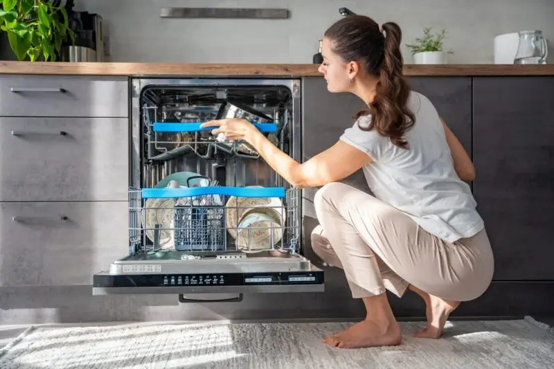 Kokią indaplovės programą rinktis, kad indai iš tiesų būtų švarūs?